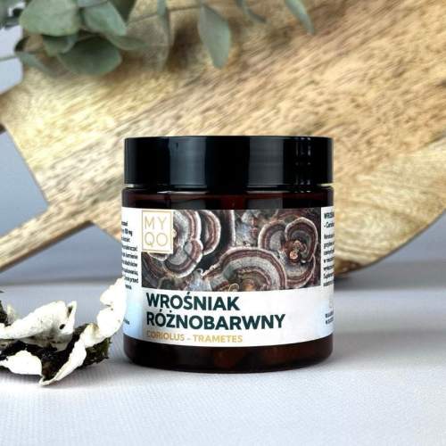 coriolus-wrosniak-roznobarwny.jpg