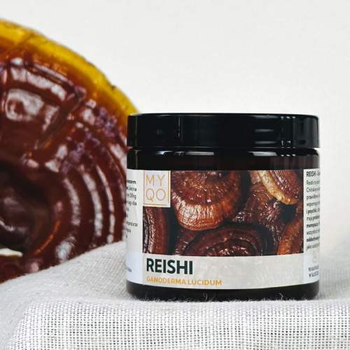 reishi-lakownica-lsniaca-ganoderma-lucidum (1).jpg