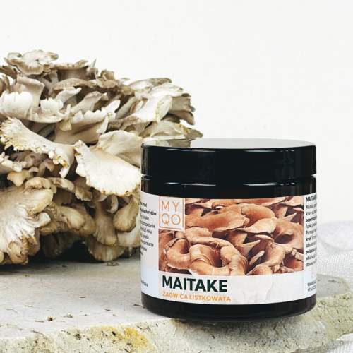 maitake-zagwica-listkowata.jpg