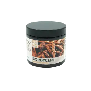 Cordyceps sinensis - Maczużnik chiński MYQO ekstrakt w kapsułkach 90 kaps.