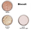 biscuit basic.png