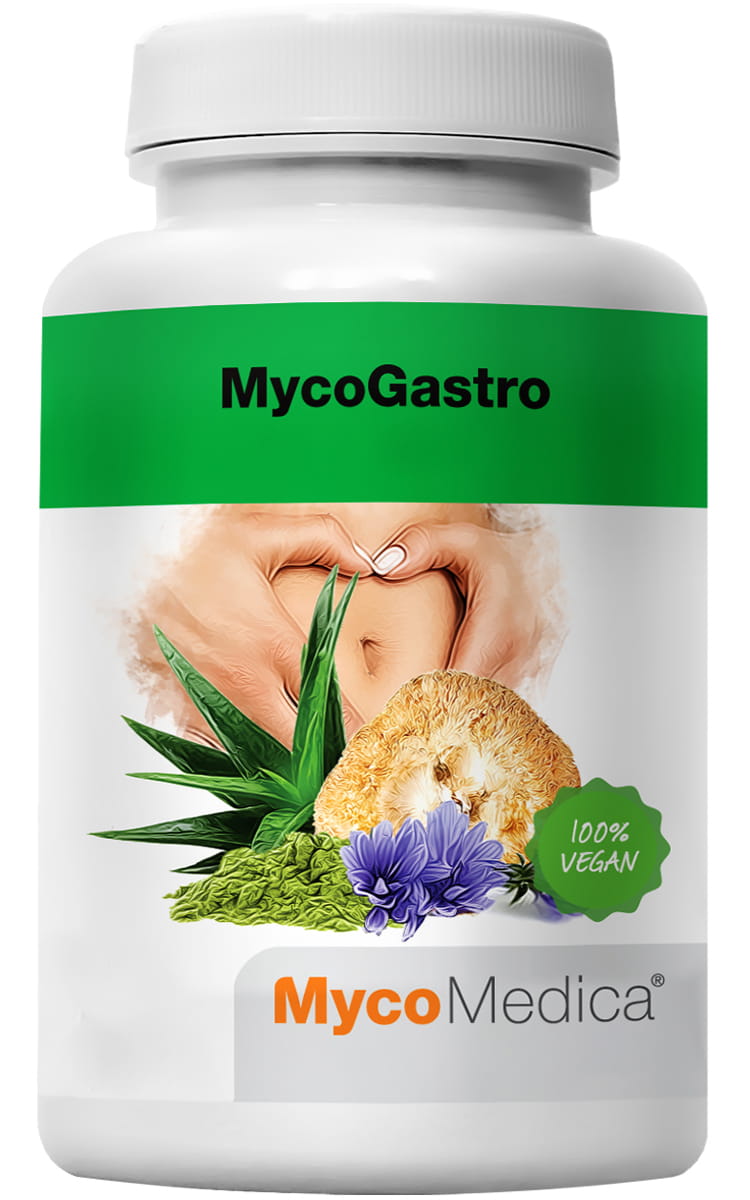 Комплекс MycoMedica MycoGastro, ежовик 2000 мг в порции, порошок, 90 г