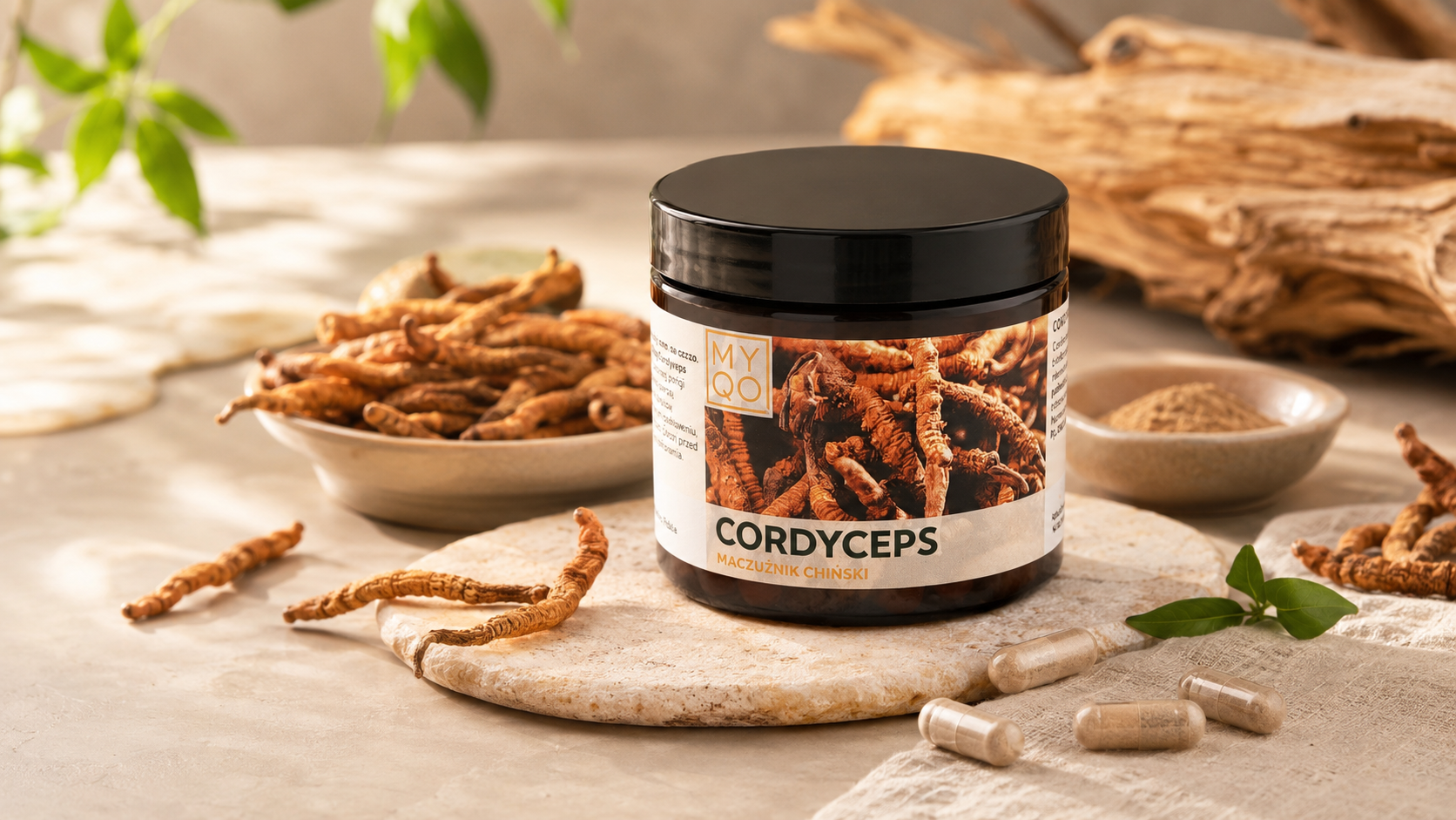 Cordyceps sinensis – czym jest maczużnik chiński i jak stosować go w kapsułkach?
